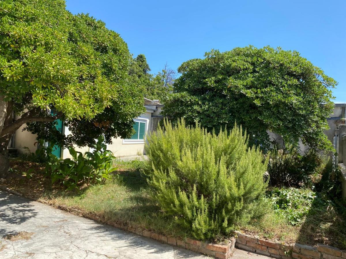 Ferienwohnung Zadar-City Dış mekan fotoğraf