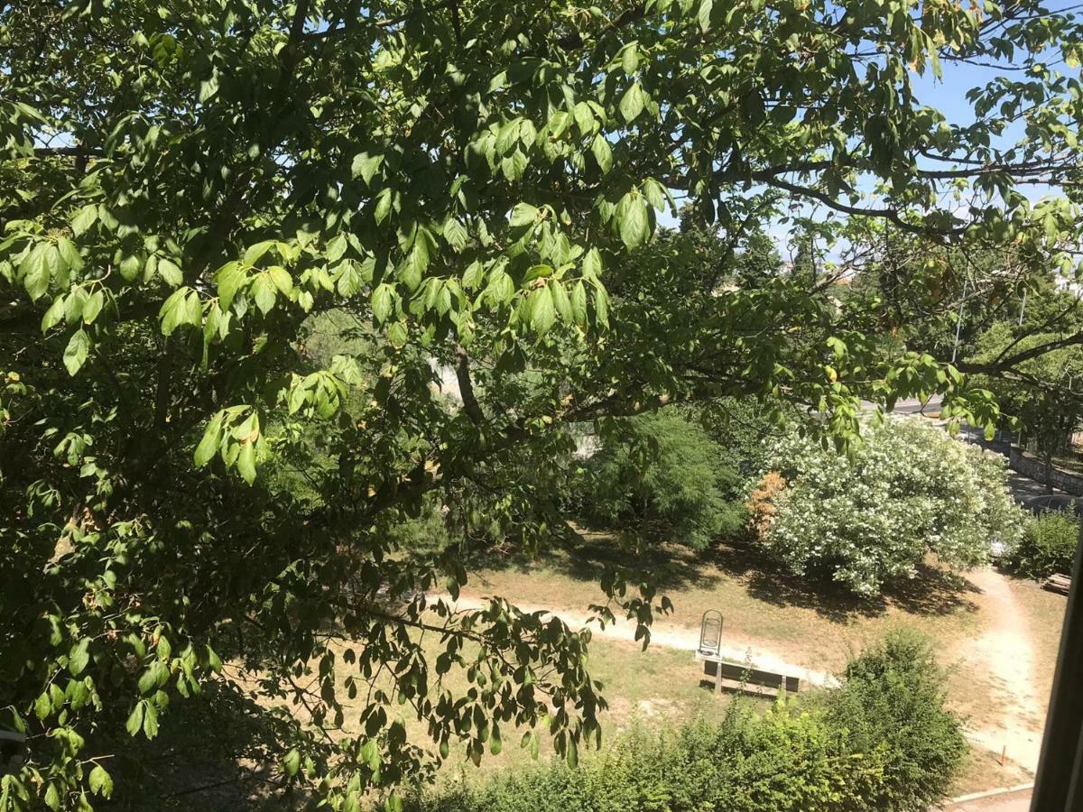 Ferienwohnung Zadar-City Dış mekan fotoğraf