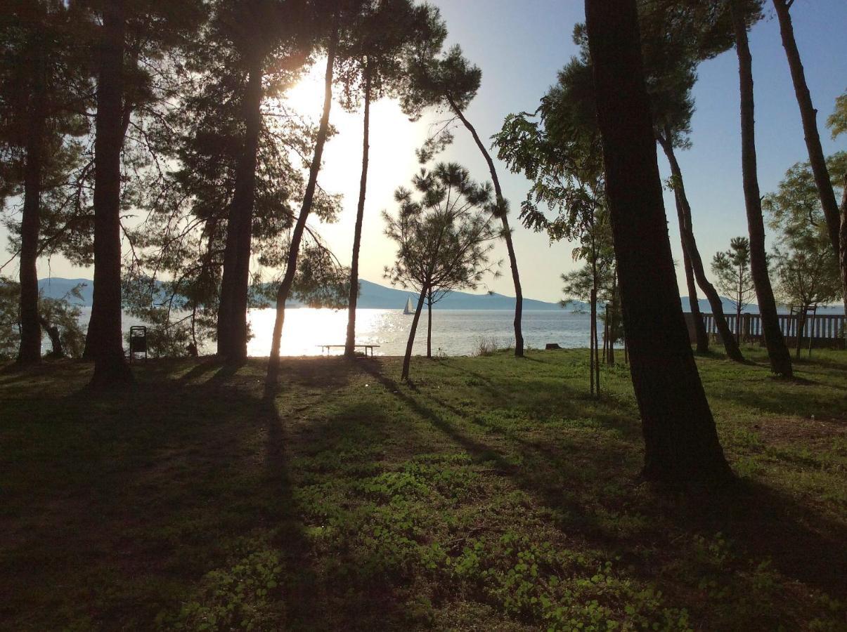 Ferienwohnung Zadar-City Dış mekan fotoğraf